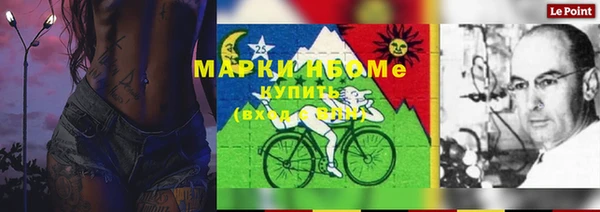 стафф Алексин