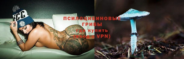 стафф Алексин