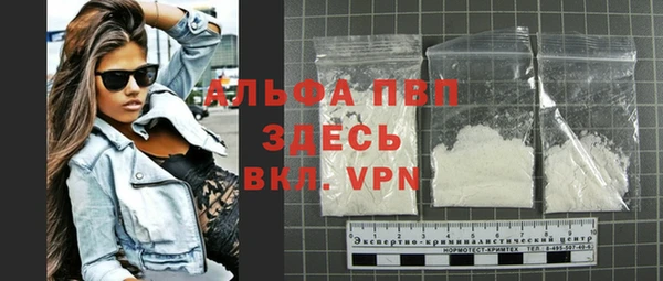 стафф Алексин