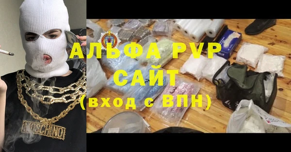 стафф Алексин