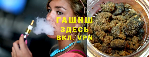 стафф Алексин