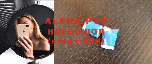 стафф Алексин